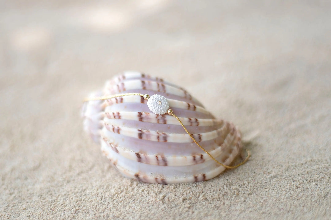 CHEVILLERE VANIA BeachLife Concept