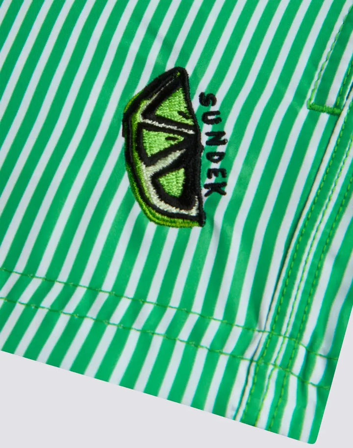 BOY'S REPREVE® ELASTIC WAIST SHORT SWIMSUIT WITH JUICY STRIPES PRINT SUNDEK