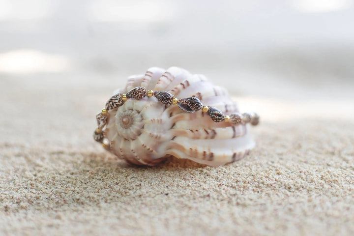 CHEVILLERE ILOA BeachLife Concept