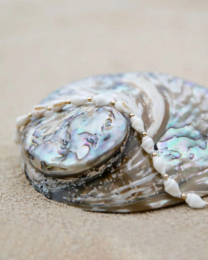 CHEVILLERE TIDA BeachLife Concept