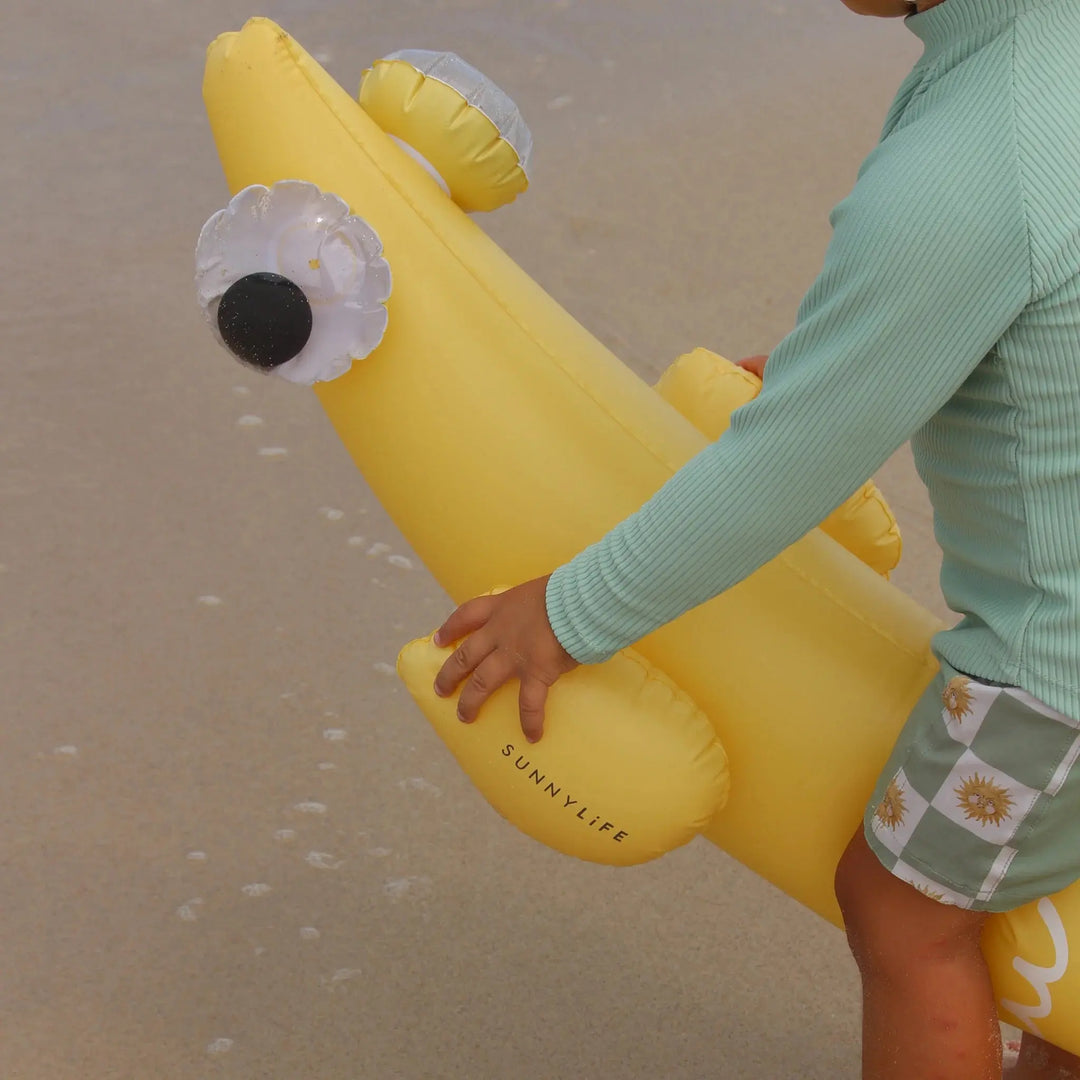 KIDS INFLATABLE NOODLE FINN THE FISH MULTI - BeachLife Concept