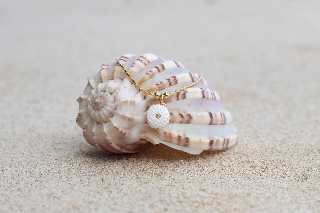 COLLIER AMMARA BeachLife Concept