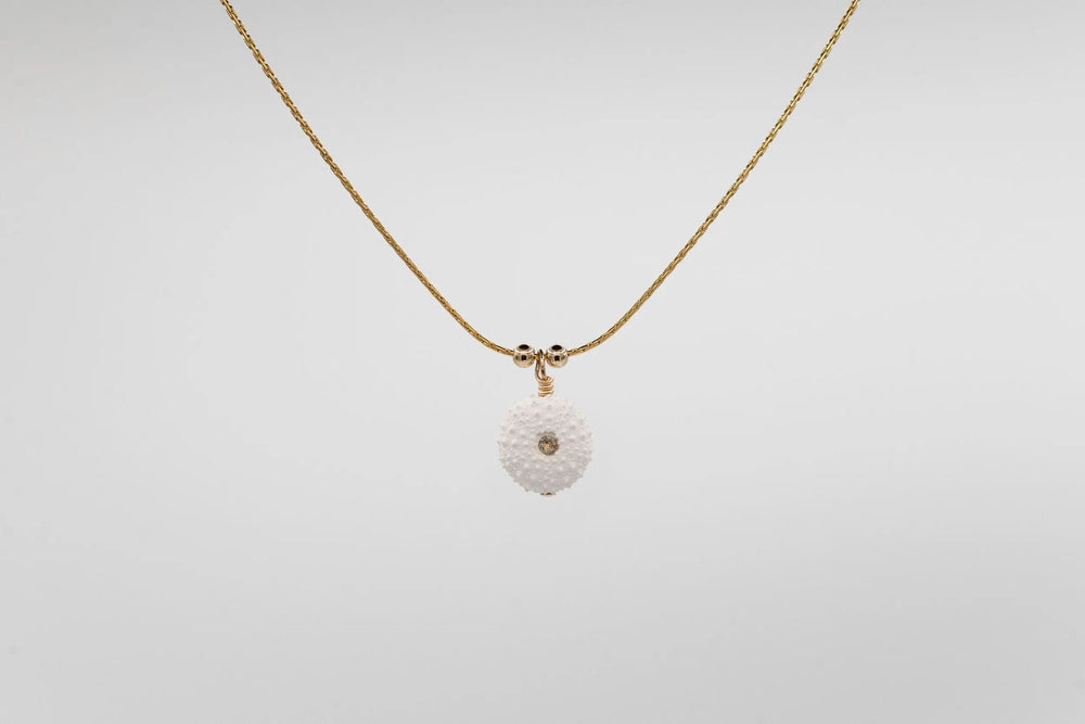 COLLIER AMMARA BeachLife Concept
