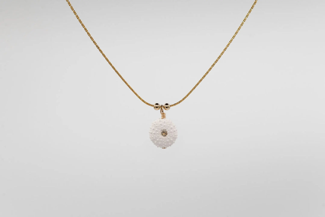 COLLIER AMMARA BeachLife Concept