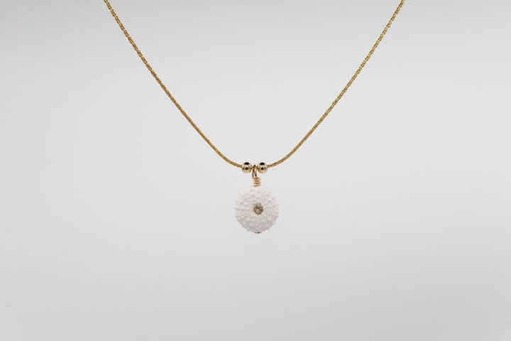 COLLIER AMMARA BeachLife Concept