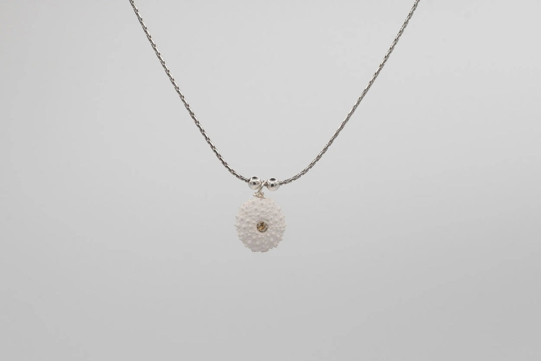 COLLIER AMMARA BeachLife Concept