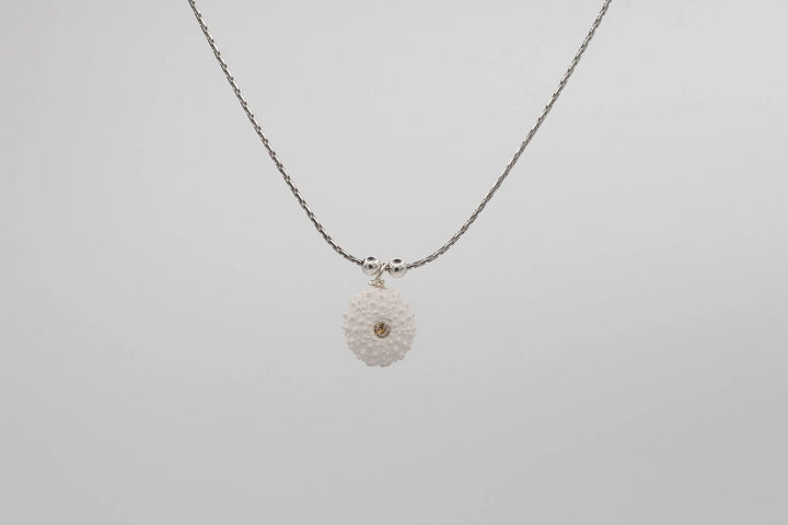 COLLIER AMMARA BeachLife Concept