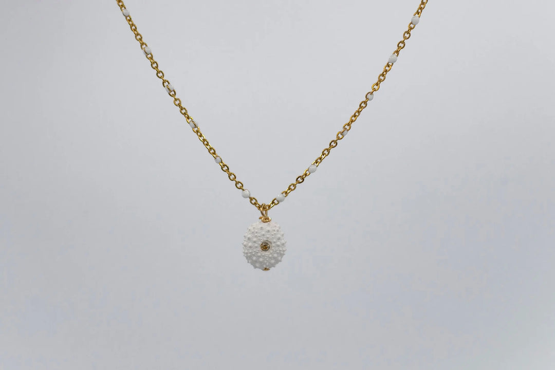 COLLIER NAEVA BeachLife Concept