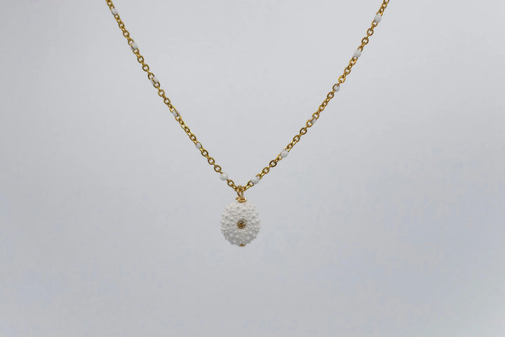 COLLIER NAEVA BeachLife Concept